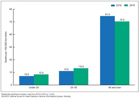 Products - Health E Stats - Maternal Mortality Rates in the United States, 2019