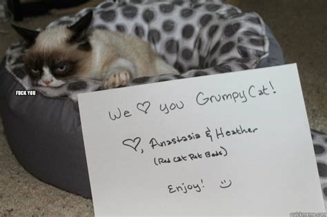 Fuck You Grumpy Cat Gets A Letter Quickmeme