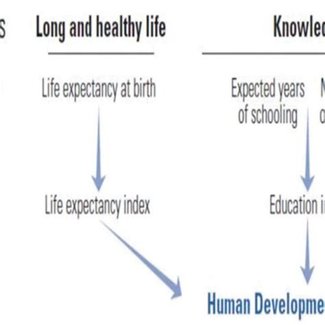 The Components Of The Human Development Index Hdi Source Undp