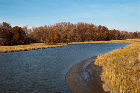 Rising Seas Part 1 Sea Level Sinking Land Put Maryland’s Waterfront Communities At Risk