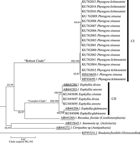 Maximum Likelihood Ml Phylogenetic Tree Using Partial Sequences Of Download Scientific