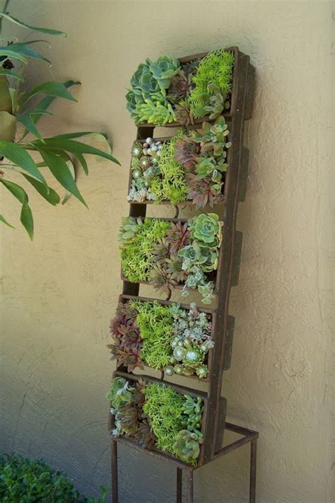 Brilliant Succulent Wall Planter Outdoor Hanging Vine Indoor Plants