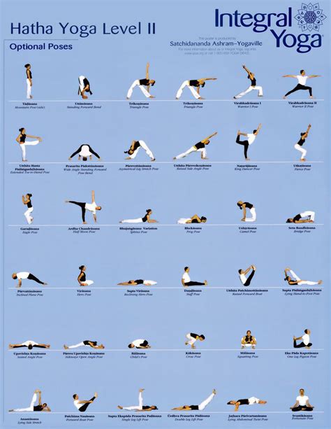 what is hatha flow yoga - Celesta Fischer