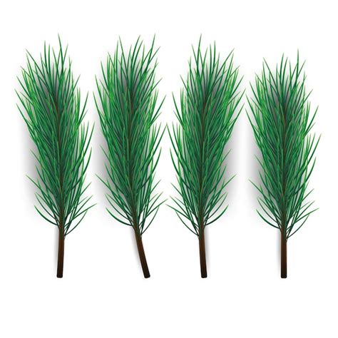 Premium Vector Christmas Tree Branch Green Lush Spruce Or Pine Branch