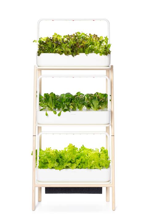 Top 5 Indoor Hydroponics for City Gardeners: Expert Picks