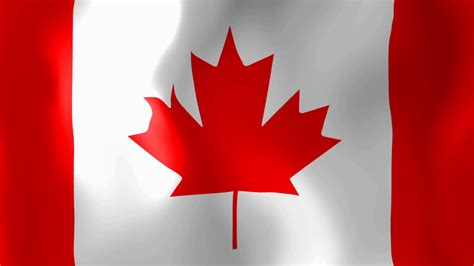 Canada Flag - Animated Background Stock Footage SBV-347734002 - Storyblocks