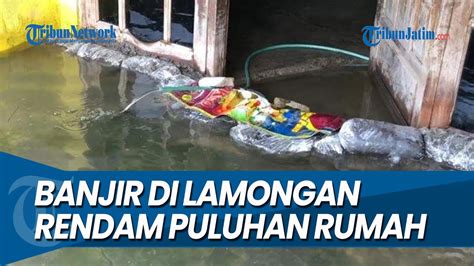 PULUHAN RUMAH TERENDAM Banjir Landa Lamongan Akibat Tingginya