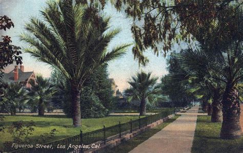 Can you believe this used to be Figueroa Street, turn of the 20th ...