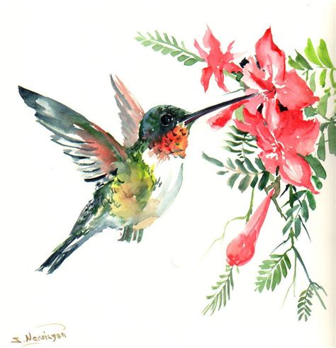 Flying Hummingbird Original Watercolor Painting X In