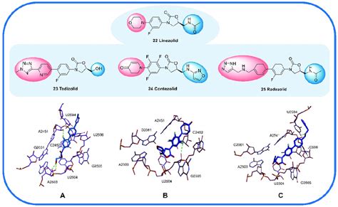 Cocrystal Structure Of Some Oxazolidinone Antibiotics With Residues In