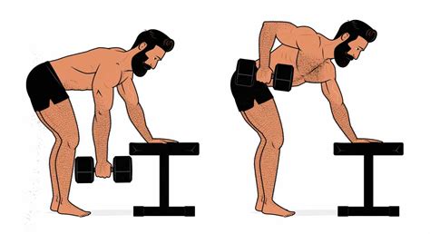 One Arm Dumbbell Row Muscles Worked