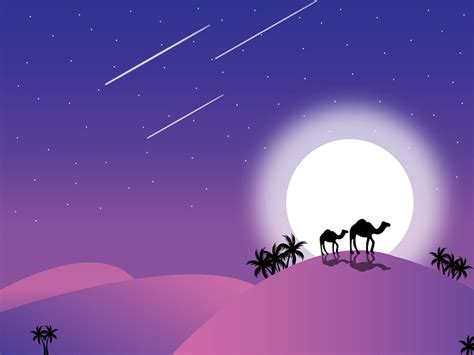 illustrator night desert scene by Jerry on Dribbble