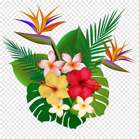 Plantas Tropicales Plantas Tropicales Las Flores Png PNGEgg