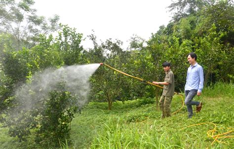 Các Loại Thuốc Bảo Vệ Thực Vật Sinh Học Phổ Biến