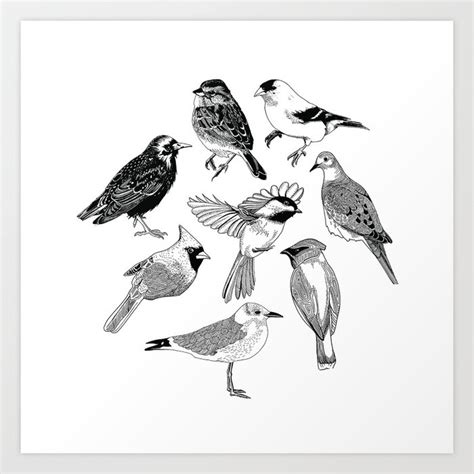 Birds of the Northeast Art Print by gemini sun | Society6