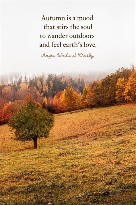 100+ Fall Quotes & Autumn Quotes to Enchant the Soul | Momsoulsoothers ...