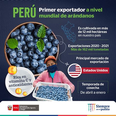 Midagri PerÚ On Twitter 🫐 De PerÚ Para El Mundo Conozcamos Más