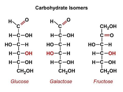 16 Isomers Of Glucose