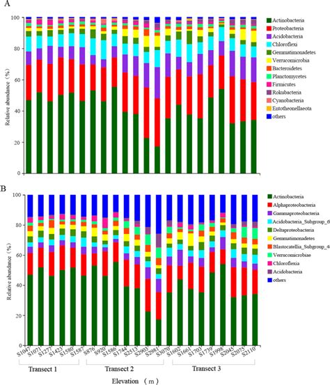 Bacterial Community Composition Variations At The Phylum A And Class