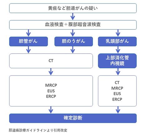 肝胆膵内科：胆道がん 人と、地域と、“つながる医療” ｜ Ntt東日本 関東病院