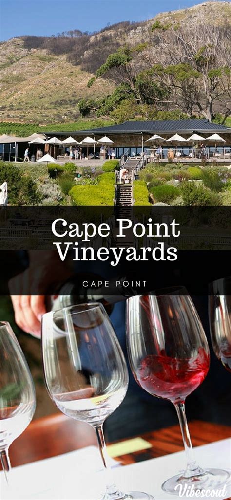 Cape Point Vineyards Restaurant - South Africa News