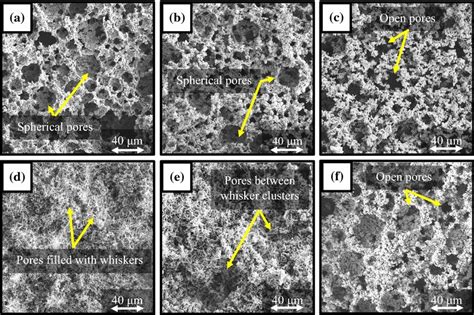 Sem Micrographs Of Porous Samples Demonstrating Various Pore