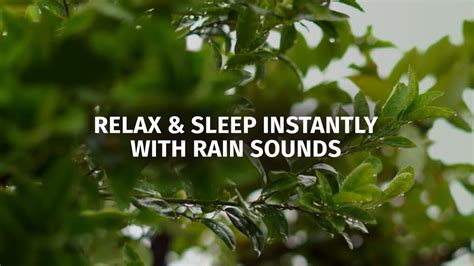 Relax And Sleep Instantly With Soothing Rain Sounds Relaxing Sleep