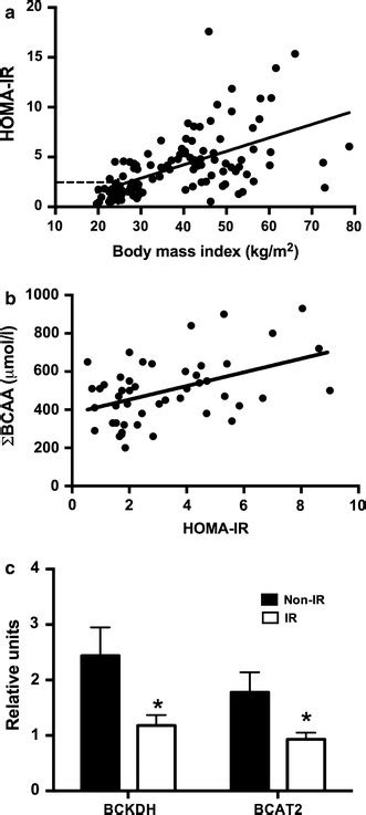 Associations Between Body Mass Index Homa Ir Bccas Omental Adipose Download Scientific