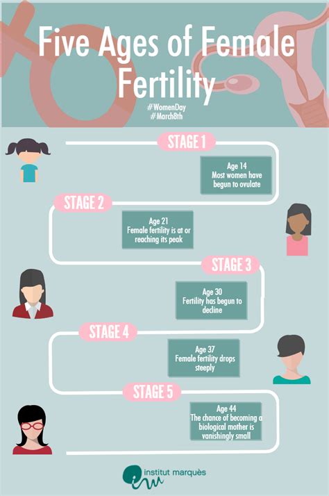 The 5 Stages Of Womens Fertile Life Instituto Marqués