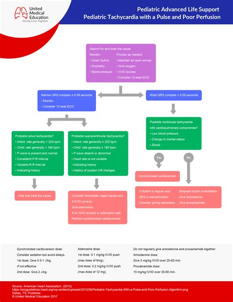 American Heart Association Infant Cpr Guidelines