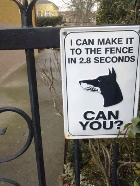 17 Hilarious Beware Of The Dog Signs And The Unexpected Dogs Behind