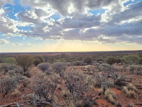 Great Boulder secures option to double Meekatharra landholding - Mining ...