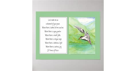 St Francis Of Assisi Prayer Common Tern Bird Poster Zazzle