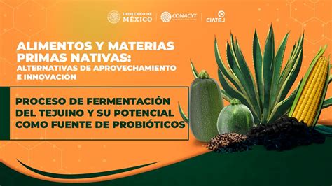 Proceso de fermentación del tejuino y su potencial como fuente de