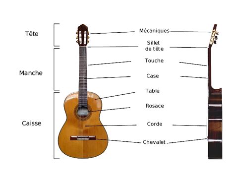 Chapitre Les Composantes D Une Guitare Lutherie Guitare Org