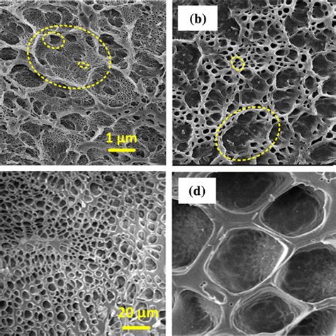 Rheology Scanning Test Of Pdmaa Gr Nanocomposite Hydrogel A Storage