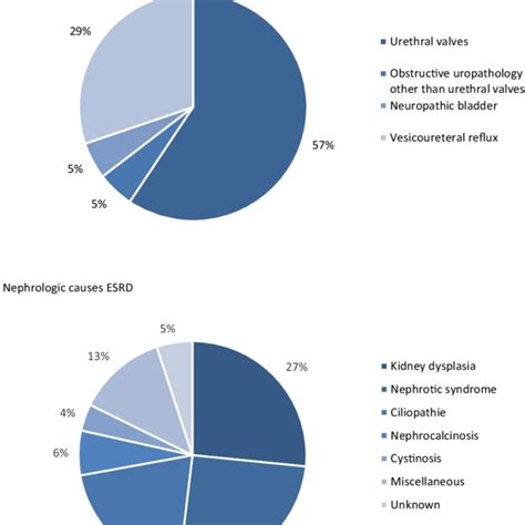 A B Causes Of End Stage Renal Disease Esrd Download Scientific Diagram