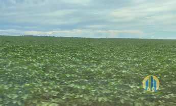 Fazenda Venda Em Ipiranga Do Norte Mt Mgf Im Veis Mgf Im Veis