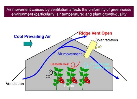 Greenhouse Ventilation Tips Suntexcp