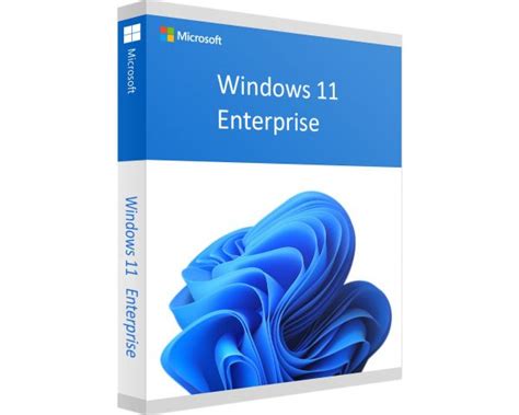 Digitale Windows 11 Enterprise Lizenz Microespana