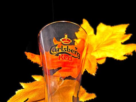 Carlsberg Red Pilsner Beer Pint Glass Etched Glass Branding Gold Rim