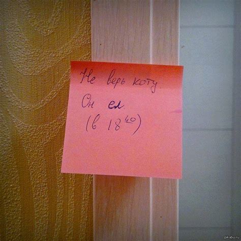 Никому не верь! | Пикабу