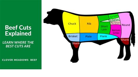 Parts Of A Beef Cow Diagram A Barbecue Steaks Breakdown For