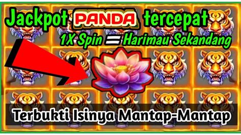 Room Jp Panda Terbaru X Spin Keluar Full Harimau Panda Hari Ini