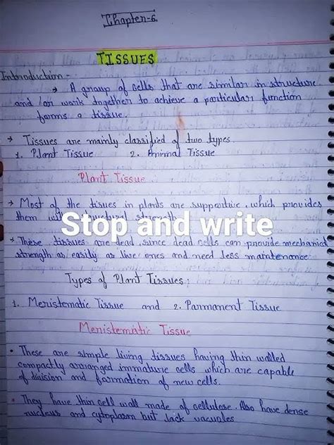 Class 9 Science Chapter 6 Tissue Notes Hand Written Youtube