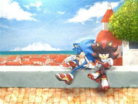 Sonic and Shadow fan arts | Sonic and shadow, Sonic, Sonic art