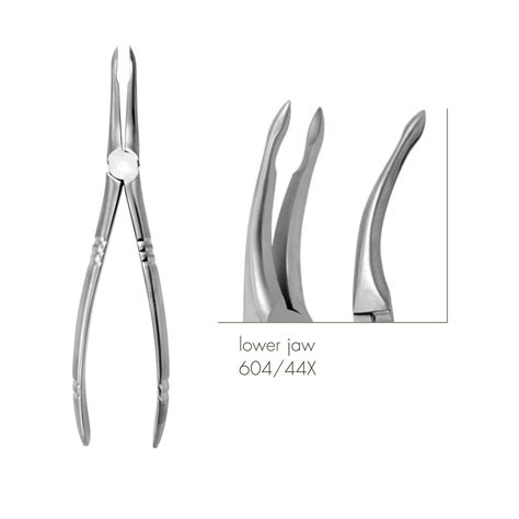 Extraction Forceps Special Schulz Dental