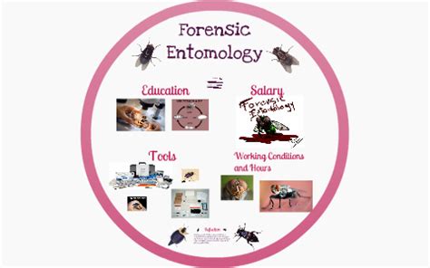 Forensic Entomology by Brianna Gerhardt on Prezi