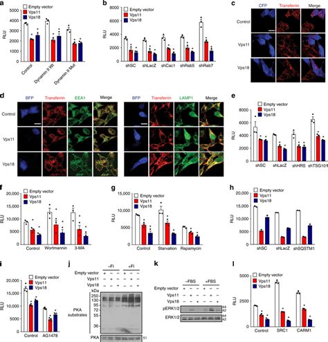 Regulation Of Erα Activity By Vps11 18 Is Independent Of Intracellular