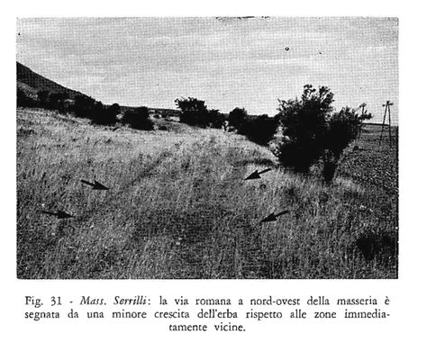 Foto Le Ultime Tracce Delle Strade Romane Sul Gargano Lago Di Varano